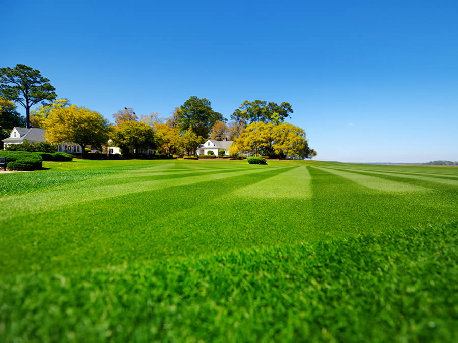 lawn-mowing-by-crystal-cleaning-services